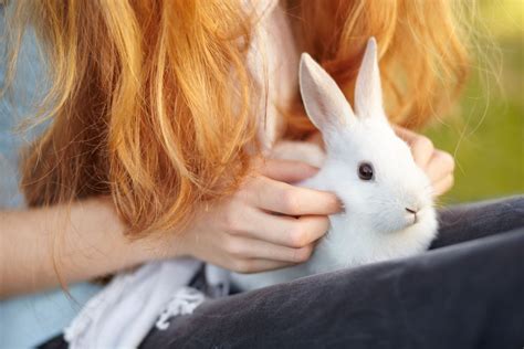 how to rabbit stressed naturally 5