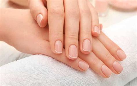 nails    health bob shop blog