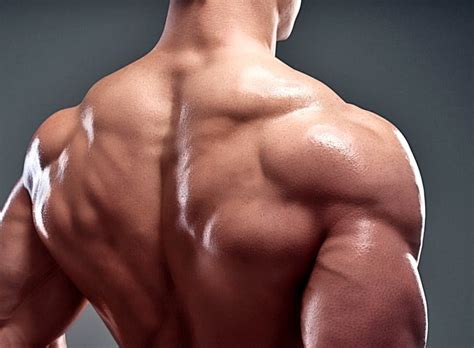 Shoulder Workouts At Home