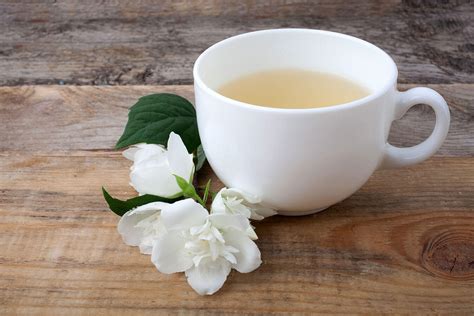 jasmine tea   buy  updated reviews guide