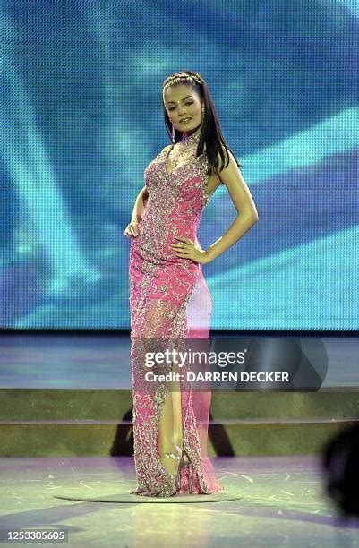 india celina jaitly  high res pictures getty images