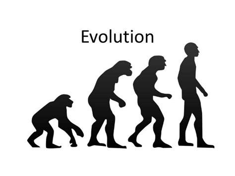 Evolution