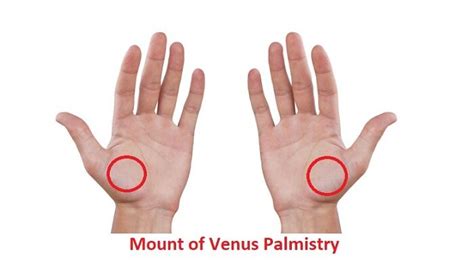 Mount of Venus Palmistry – Reading and Meaning