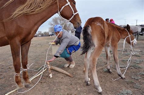 traditional spring festive rites   kazakh horse breeders