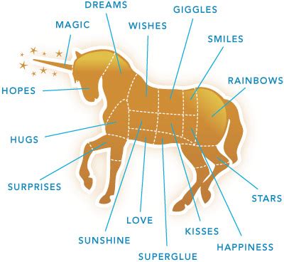 Unicorn anatomy