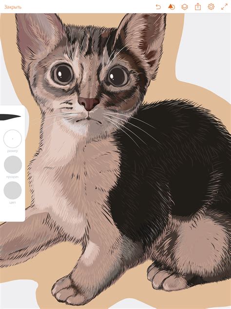 Котенок on Behance