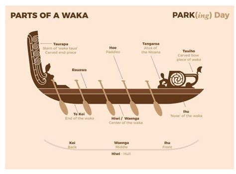 Waka in Tauranga (Moana) - MATARAWA | TAUMATA SCHOOL