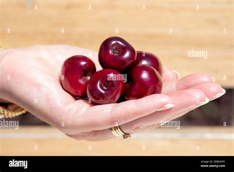 Cherries Are Drupes