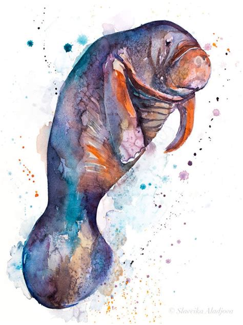 Manatee Watercolor Painting Print by Slaveika Aladjova Art - Etsy