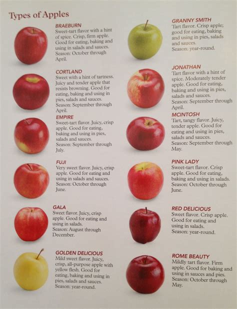 types  apple