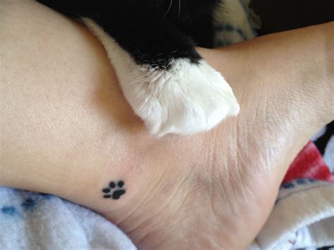 tattoo of cat paw print 9