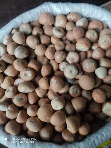 Supari, Packaging Size: 65kg at ₹ 360/kg in Kolkata | ID: 2850796238597