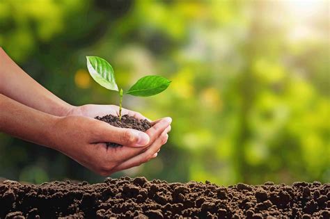 Vertical Crab Farming & Hydroponic Solutions in Sri Lanka | Everblue