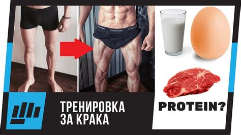 Протеин - Кога? / Колко? / Какъв вид? - YouTube