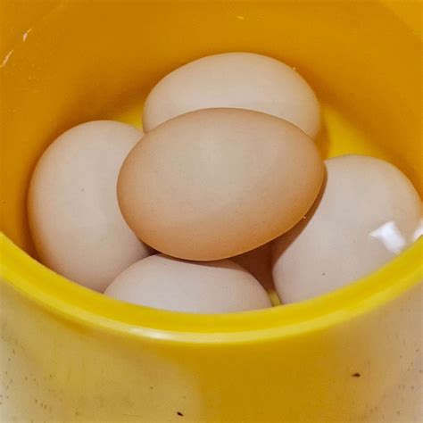 nak makan  pagi pagi ni ben ashaari