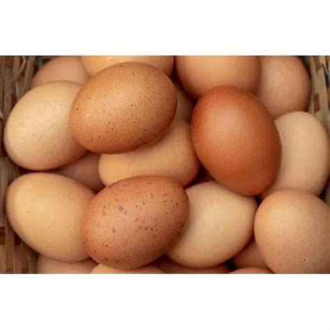 aseel chicken egg rich  protein  rs piece  coimbatore id