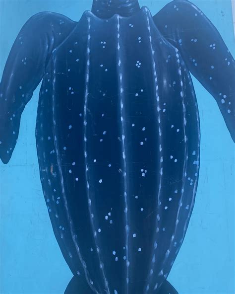 𝓜𝓲𝓪 𝓡𝓸𝓼𝓮 🌹🇮🇹 (@shes_miarose) • Instagram photos and videos