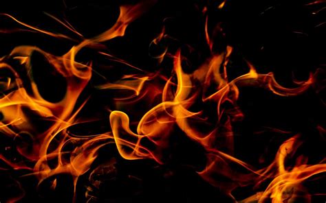 articles  stories  ordinary people fire extinguishers save lives