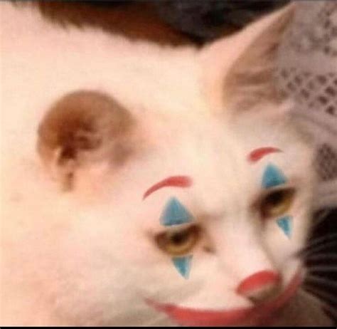 Funny Cat Meme Profile Pictures - Funny Memes Mania