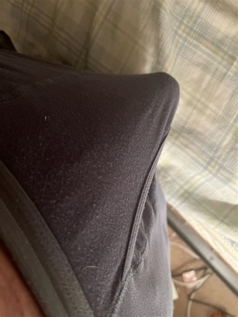 Take it out : r/Bulges