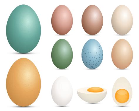 eggs set vector design illustration isolated  white background