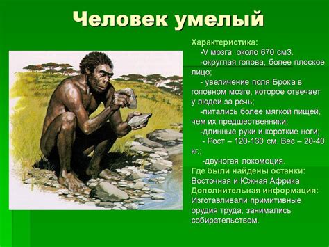 Эволюция человека - Презентации по биологии