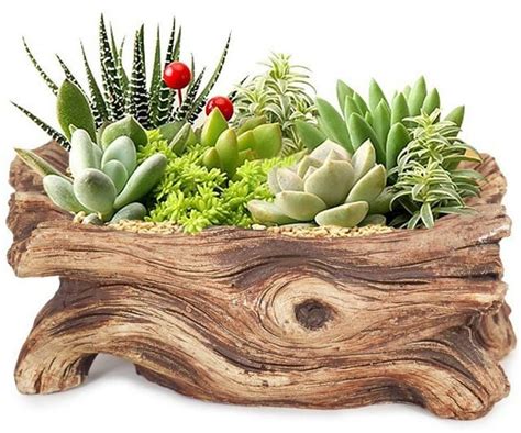 mini planters  suit  decorating style birds  blooms