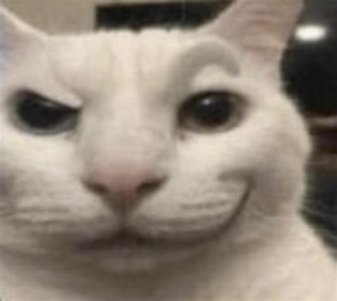rizz cat should be a pet in soul knight, thoughts? : r/SoulKnight