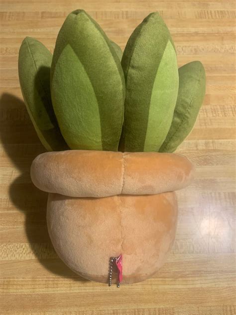 coryxkenshin net worth 2024 14