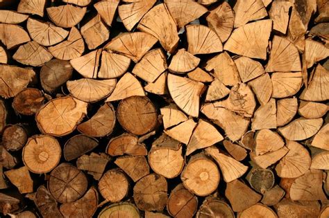 wood energy education