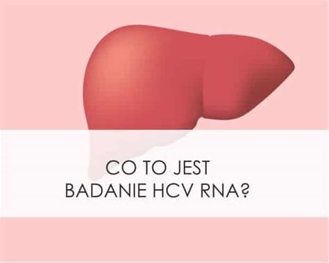 Co to jest badanie HCV RNA? - Okiem Diagnosty