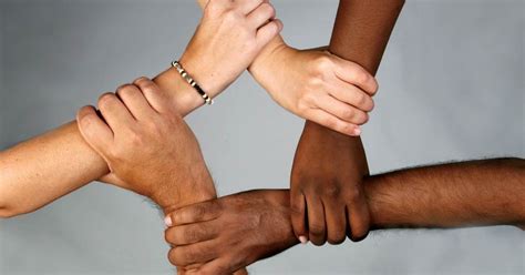 O Que Significa Raça - Entenda as diferenças entre raça e etnia - Diferença