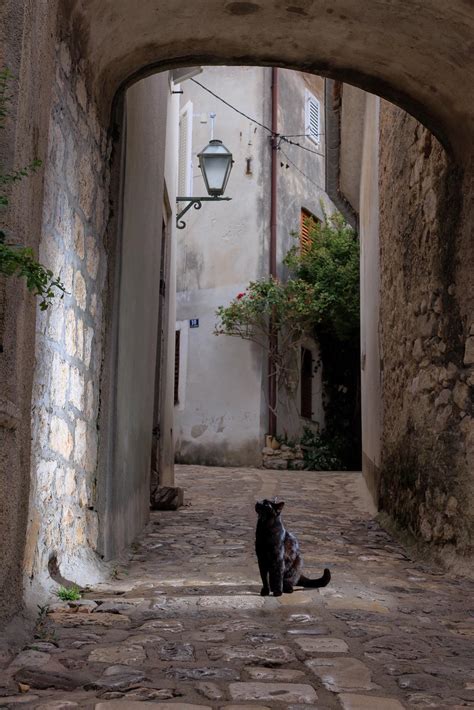 Chelsea Deville : r/photographs