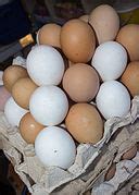 categorypoultry eggs wikimedia commons