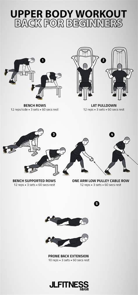 Upper Body Workout- Back For Beginners | JLFITNESSMIAMI