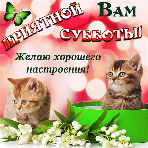 Суббота открытки (31 фото)