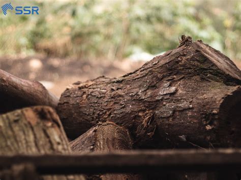 Wood Quality Control Process at SSR VINA - SSR VINA Co.LTD