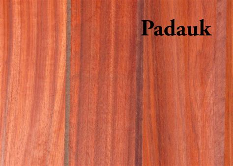 Padauk Wood Vs Rosewood at Callum Coombes blog