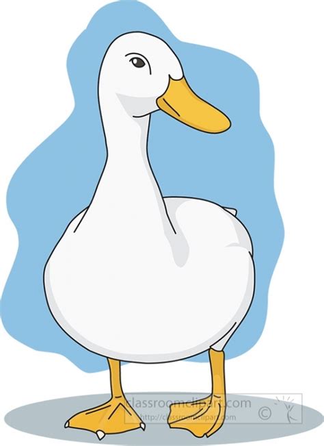 Duck Clipart-white standing duck clipart