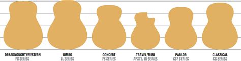 acoustic guitar body types