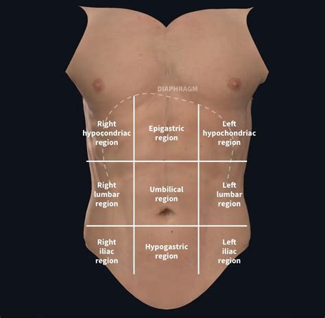 dolor en el hemiabdomen inferior causas  sintomas doctor