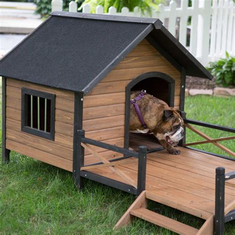 Unleashing Comfort: Exploring The World Of Dog Houses