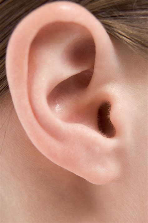 Ear, Nose and Throat Conditions | Livestrong.com | Human ear, Ear, Ear ...