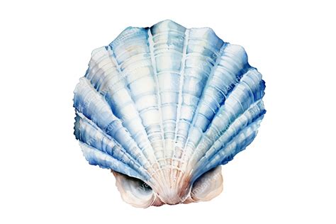 Lovely Blue Sea Seashell Watercolor PNG Graphic by Dreamy Art