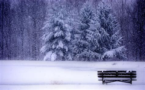 Winter Computer Wallpapers, Desktop Backgrounds | 2880x1800 | ID:404924