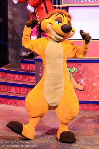 Timon at Disney Character Central