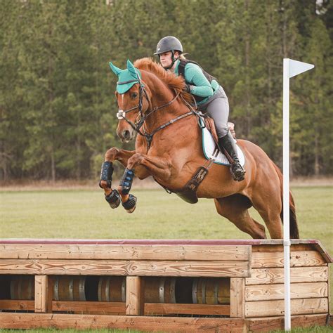 craigslist spokane farm and garden 8