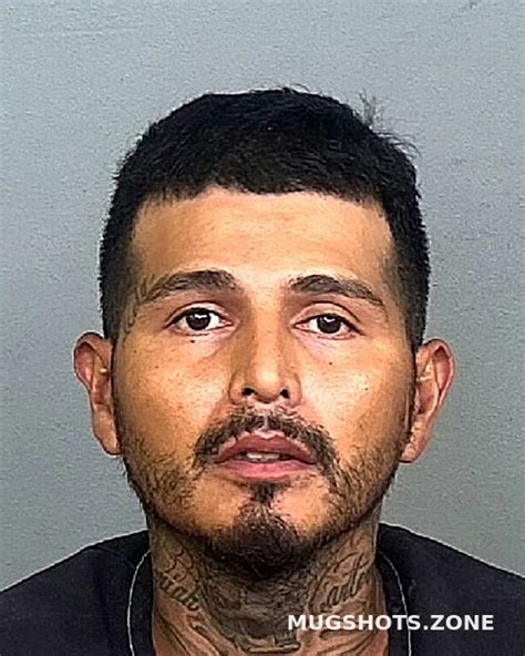 ANTUNES MOISES 07/12/2022 - Manatee County Mugshots Zone