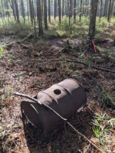 Moonshine Still Linked To Al Capone Found In South Carolina