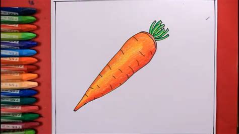 draw carrot step  stepeasy carrot drawing youtube